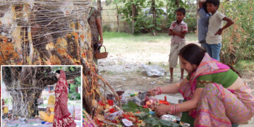 वट सावित्री गुंथा हुआ है पर्यावरण की रक्षा और सच्ची शिक्षा से