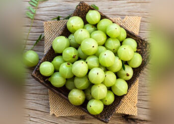 करें आंवले का इस्तेमाल, पाएं सेहतमंद और मज़बूत बाल