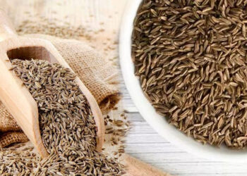 अच्छी सेहत चाहिए तो जान लें, जीरा है सदा के लिए