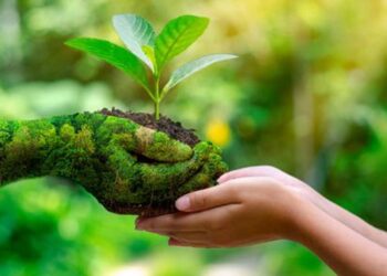 तो पर्यावरण को बचाने के लिए क्या कर रहे/रही हैं आप?