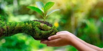 तो पर्यावरण को बचाने के लिए क्या कर रहे/रही हैं आप?