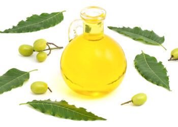 स्वस्थ त्वचा पाने के लिए नीम को शामिल करें स्किनकेयर रूटीन में