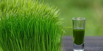 दूब के भी हैं कई हेल्थ बेनेफ़िट