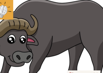 ज़रा सोच कर देखिए कि अक़्ल को उम्र से क्या लेना-देना?