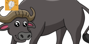 ज़रा सोच कर देखिए कि अक़्ल को उम्र से क्या लेना-देना?