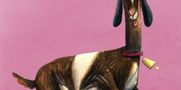 sharatchandra_Kahani