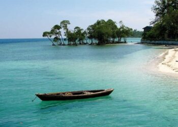 अंडमान निकोबार: नारियल के जन्म की लोक कथा