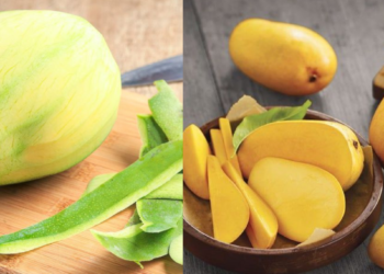 क्या आपको पता है कच्चे और पके आम का यह ख़ास गणित?