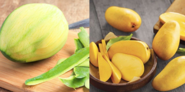 क्या आपको पता है कच्चे और पके आम का यह ख़ास गणित?