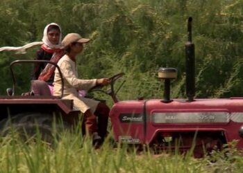 महिला किसान (दूसरी कड़ी): कृषि का नारीवादी सिद्धांत, जो ला सकता महिला किसानों के अच्छे दिन