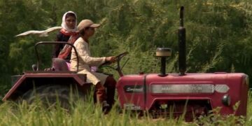 महिला किसान (दूसरी कड़ी): कृषि का नारीवादी सिद्धांत, जो ला सकता महिला किसानों के अच्छे दिन