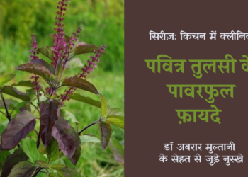 Basil-benefits_in-hindi