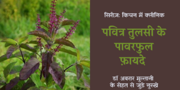 Basil-benefits_in-hindi