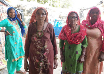 भारत में दलित, भारत के दलित (दूसरी कड़ी): हरियाणा की वंचित जातियों की संख्या और संघर्ष