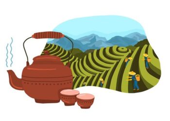 एक प्लेट सैलाब: कहानी विरोधाभासों की (लेखिका: मन्नू भंडारी)