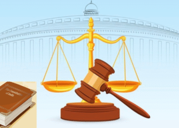 executive-and-judiciary